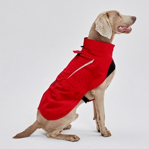 [20% 할인] 슈펫 윈드레인우비 바람막이형 강아지옷 (레드)